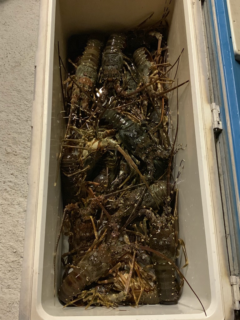 20250927-er5ty 20250927-er5ty