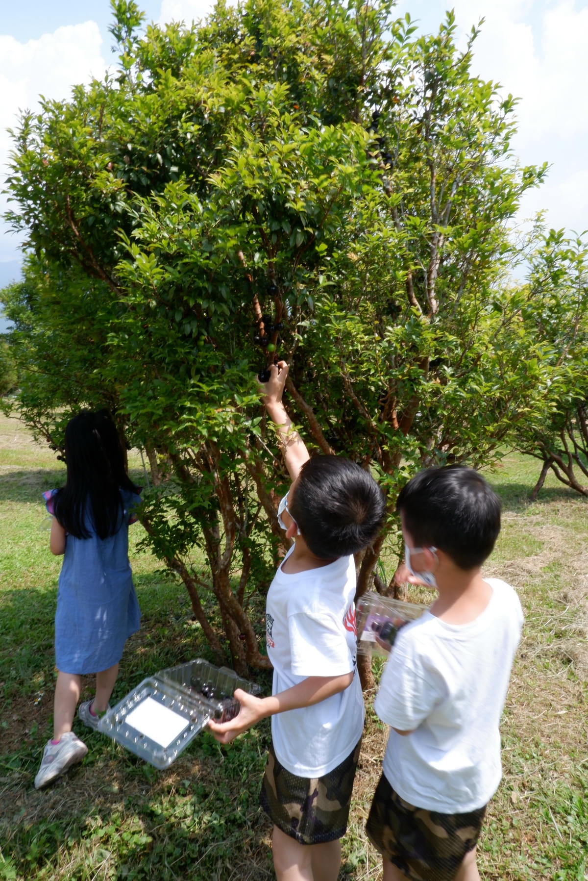 20250927-aqfkr 20250927-aqfkr