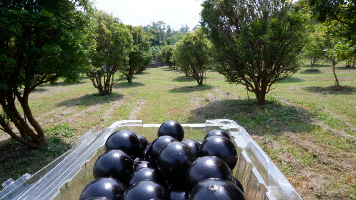 20250927-wvvii 20250927-wvvii