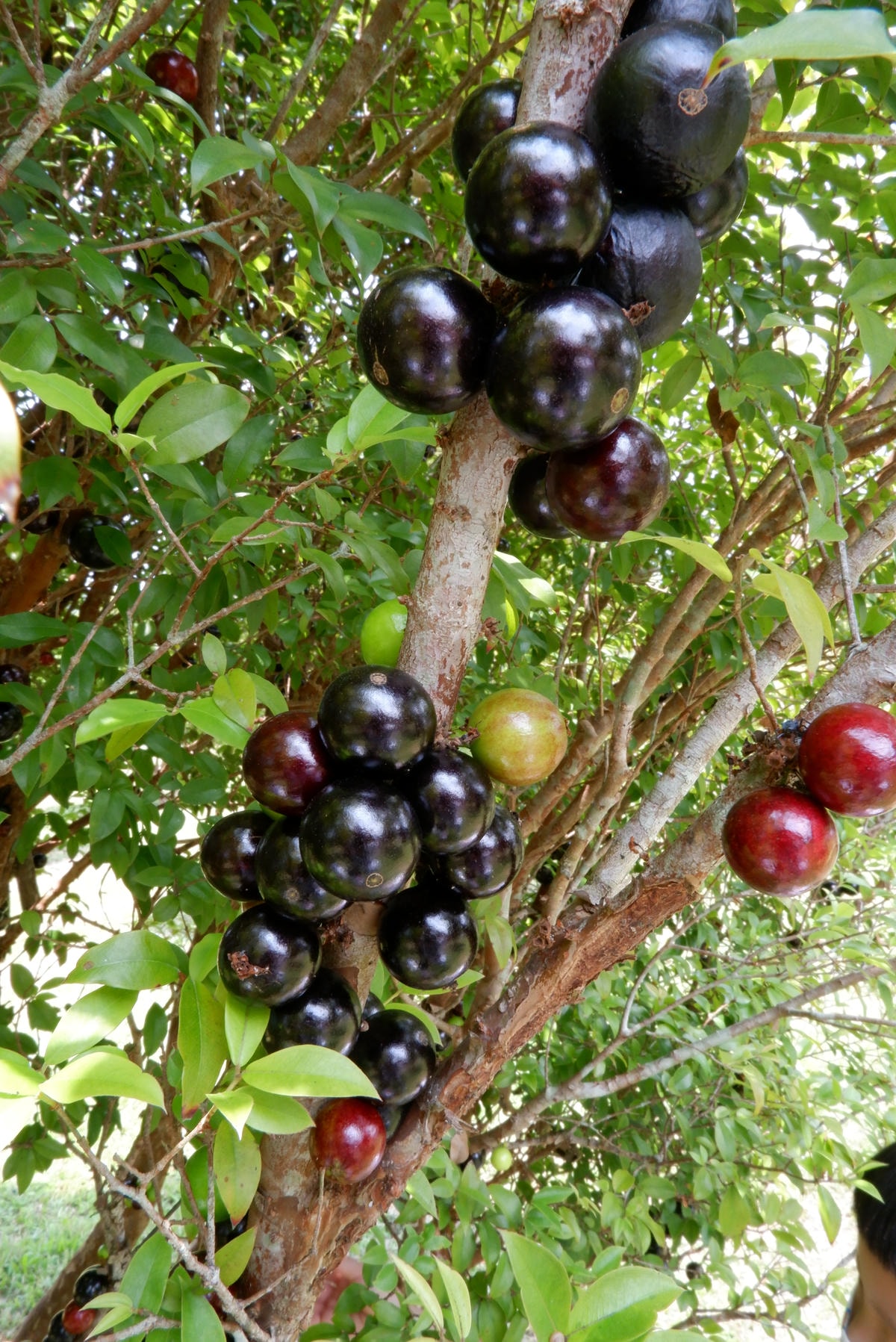 20250927-wzdef 20250927-wzdef