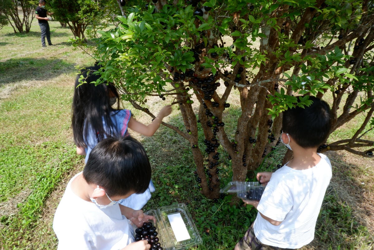 20250927-xowck 20250927-xowck