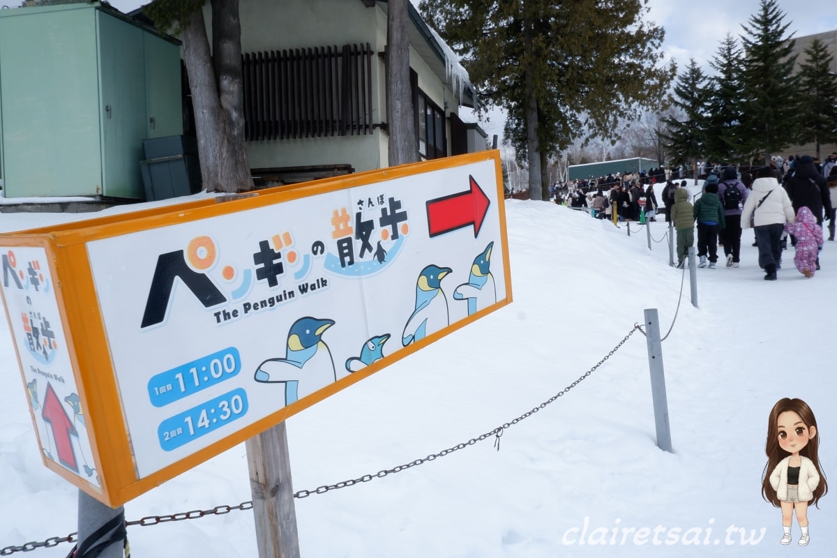 美黛子遊日本【包車篇】北海道包車自由行全攻略|旭山動物園、森林精靈露台、美瑛神社一日遊 - 第10張圖 美黛子遊日本【包車篇】北海道包車自由行全攻略|旭山動物園、森林精靈露台、美瑛神社一日遊