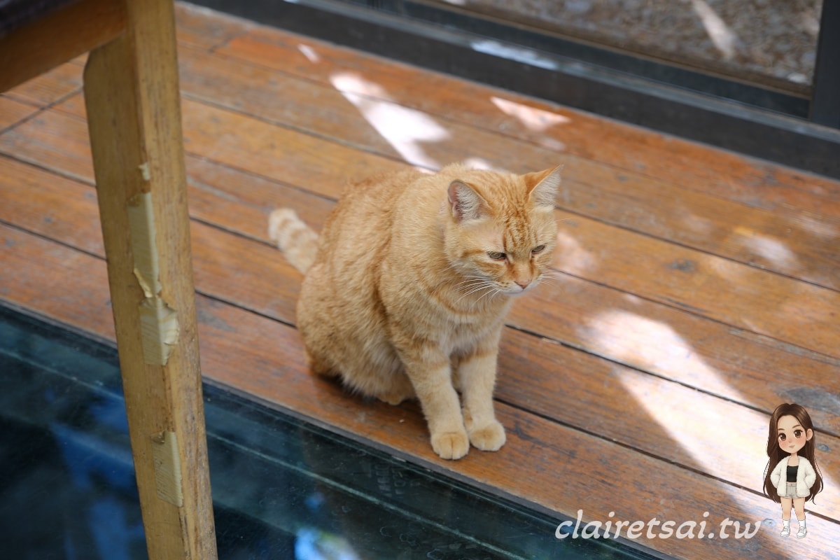 埔里觀瀑渡假民宿｜像回到爺爺奶奶家的溫馨山林秘境