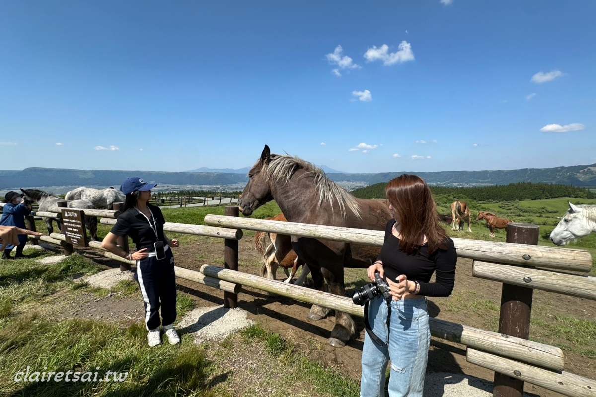 日本九州阿蘇活火山旅遊記｜草千里二訪，這次終於看見它最美的樣子